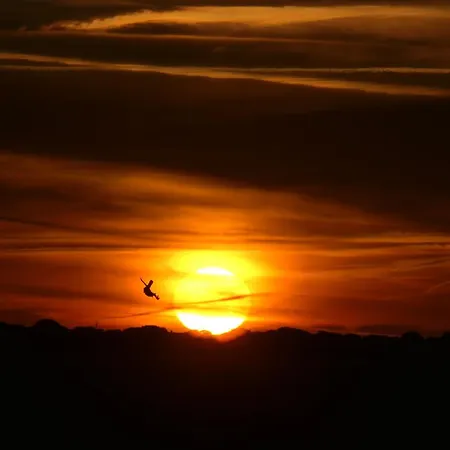 Traumwohnung Mit Meerblick Ueber Ostsee Διαμέρισμα